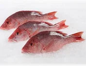 MEDIUM RED SNAPPER (1 PIECE)