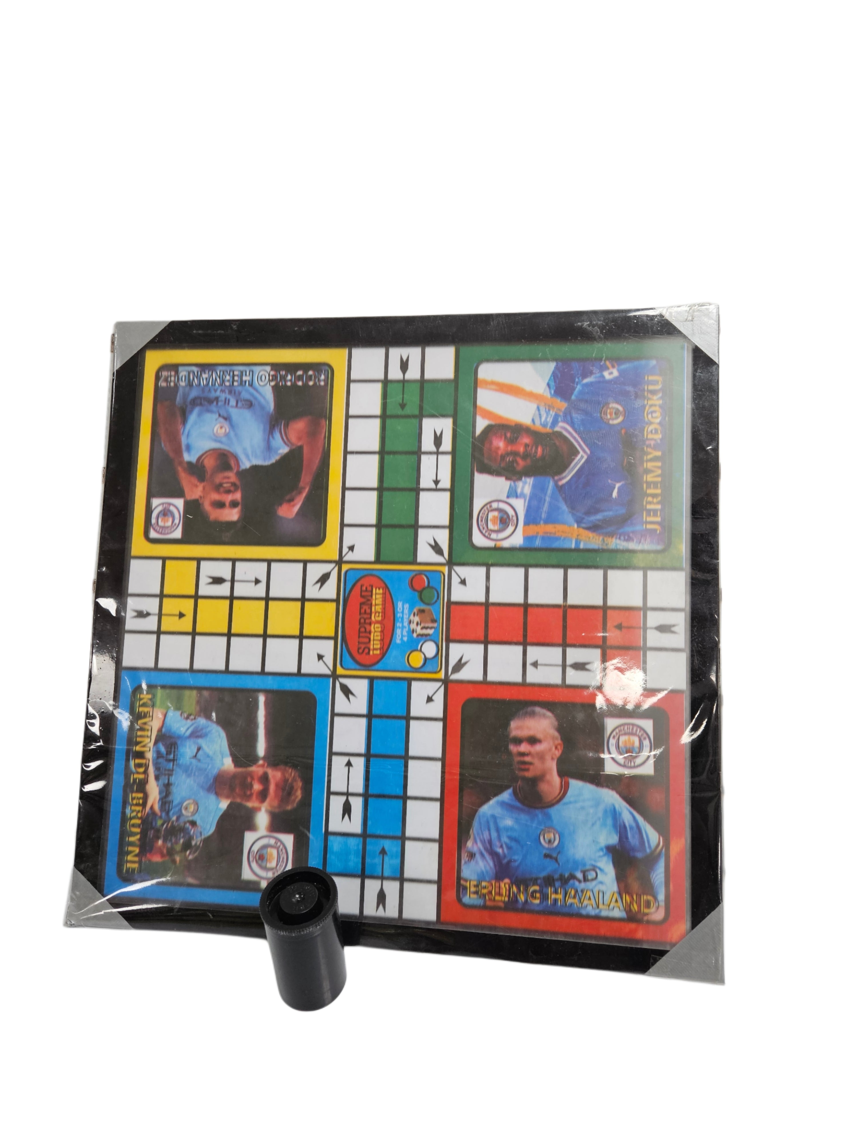 LUDO GAME WITH DICE AND SEEDS